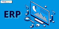 Top Reasons to Choose Udyog ERP Software for Your Business in India