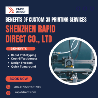 Benefits of Custom 3D Printing Services | Shenzhen Rapid Direct Co., Ltd