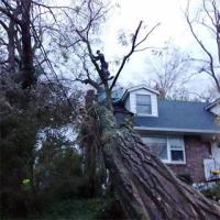 Landscape Maintenance Services in Rockland County, NY | D&D Tree Services