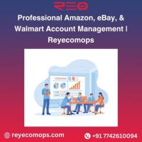 Professional Amazon, eBay, & Walmart Account Management | Reyecomops