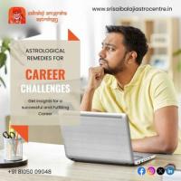 Career Achievement with the Best Astrologer - Srisaibalajiastrocentre