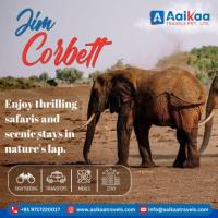 Explore Jim Corbett packages for family Safari Packages | Aaikaa Travels