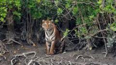 SUNDARBAN PACKAGE TOUR 2024-2025