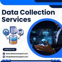 Top Data collection Services in India