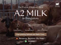 Desi A2 Cow Milk Delivery in Bangalore - Swarnika Farm 