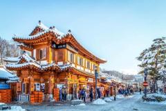 Best Packages for Travel to Korea