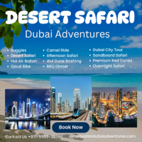 Dune Buggy Desert Safari Dubai / +971 55 553 8395