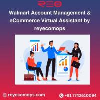 Walmart Account Management & eCommerce Virtual Assistant by reyecomops