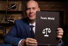 Toxic Mold Symptoms? Consult a Los Angeles Attorney Today