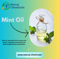 Mint Oil Suppliers in India