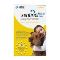 Sentinel For Dogs Yellow Weighs 26-50 lbs | Free Shipping