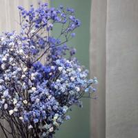 Buy Dried Baby’s Breath Flowers Online – Perfect for Every Occasion