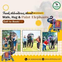 Jaipur Day Tour with Elephant Sanctuary: A One-of-a-Kind Day Tour at Elefanjoy