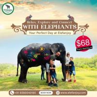 Experience the best of Jaipur with Elefanjoy