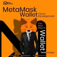 Excellent MetaMask Wallet Development Company - Block Sentinels