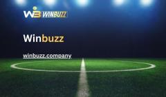 Experience Seamless Gaming with Winbuzz