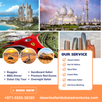 Morning Desert Safari in Dubai / +971 55 553 8395