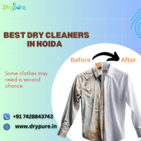 Best Dry cleaners in Noida