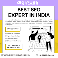 Best Seo Expert In India