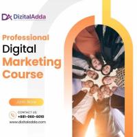 Digital Marketing Course for Professionals