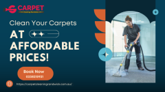 Trust Randwick’s Top Carpet Cleaning Experts for a Spotless Home