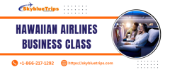 upgrade hawaiian airlines business class