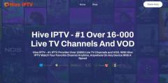 Best Hive IPTV #1 Over 16,000 Live TV Channels and VOD in 4K.