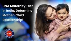 Get a Reliable Maternity Test for Legal and Personal Clarity