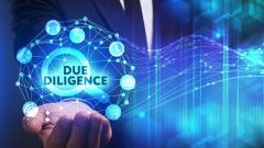 Business Due Diligence Services