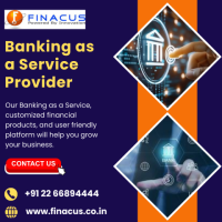 Banking as a Service Provider