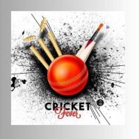 Why Online Cricket ID is a Safe Platform for Bettors by RP Exchange