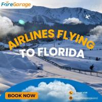 What Are the Top Airlines Flying to Florida for this Winter?