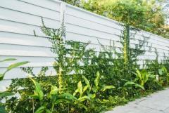 Durable and Stylish Timber Fencing: A Long-Lasting Investment