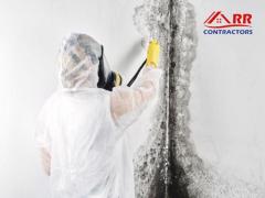 Plano’s Expert Mold Cleaning Services