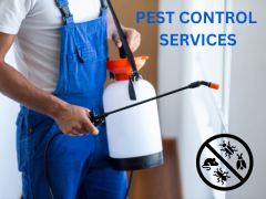 Safe, Reliable Pest Control for a Peaceful Templestowe