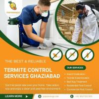 Advanced Termite Solutions Tailored to Protect Your Property