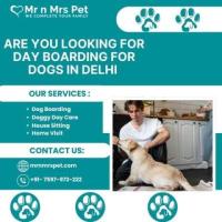 Professional Day Boarding For Dogs in Delhi