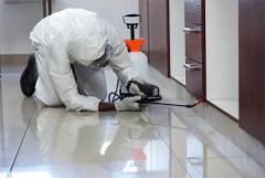 Pest Control Services in Kleinburg