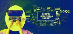 Hire The Best Digital Marketing Company in Delhi For Branding