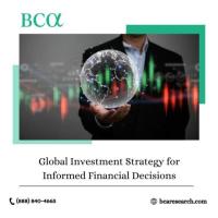 Global Investment Strategy for Informed Financial Decisions