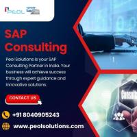 SAP Consulting in India