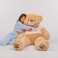 Best Teddy Bear Collection | Giant Teddy