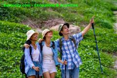 Excursions for Every Traveler