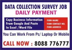 Survey Job | Copy paste job | Daily payment | 3061 Data entry near me