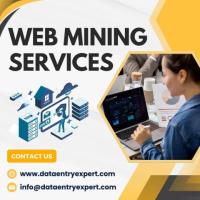 Best Web Data Mining Services in India