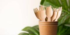 Bamboo Cutlery in Maharashtra: A Modern Sustainable Choice