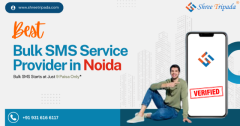 Why Shree Tripada is Best Bulk SMS Service Provider in  Noida?