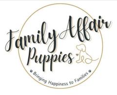 Adopt Adorable Shih Tzu Dogs for Sale Today