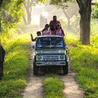 Get Sasan Gir Jeep Safari Booking With Experienced Guides 