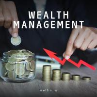 wealth management india